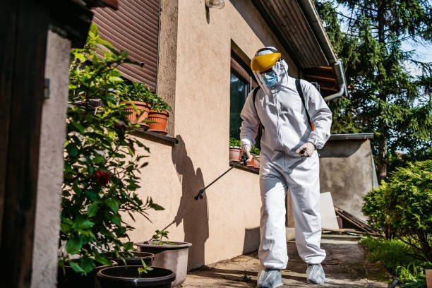 Best Residential Pest Control  in Logansport, IN