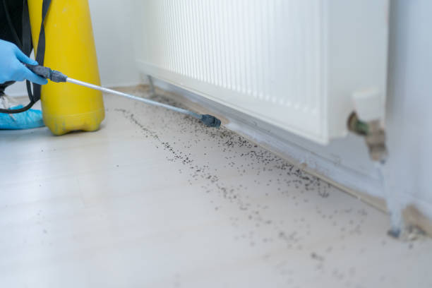 Best Exterminator Services  in Logansport, IN