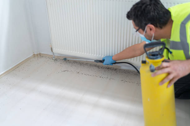 Best Pest Removal Services  in Logansport, IN