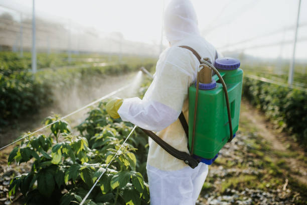 Best Cockroach Control Services  in Logansport, IN